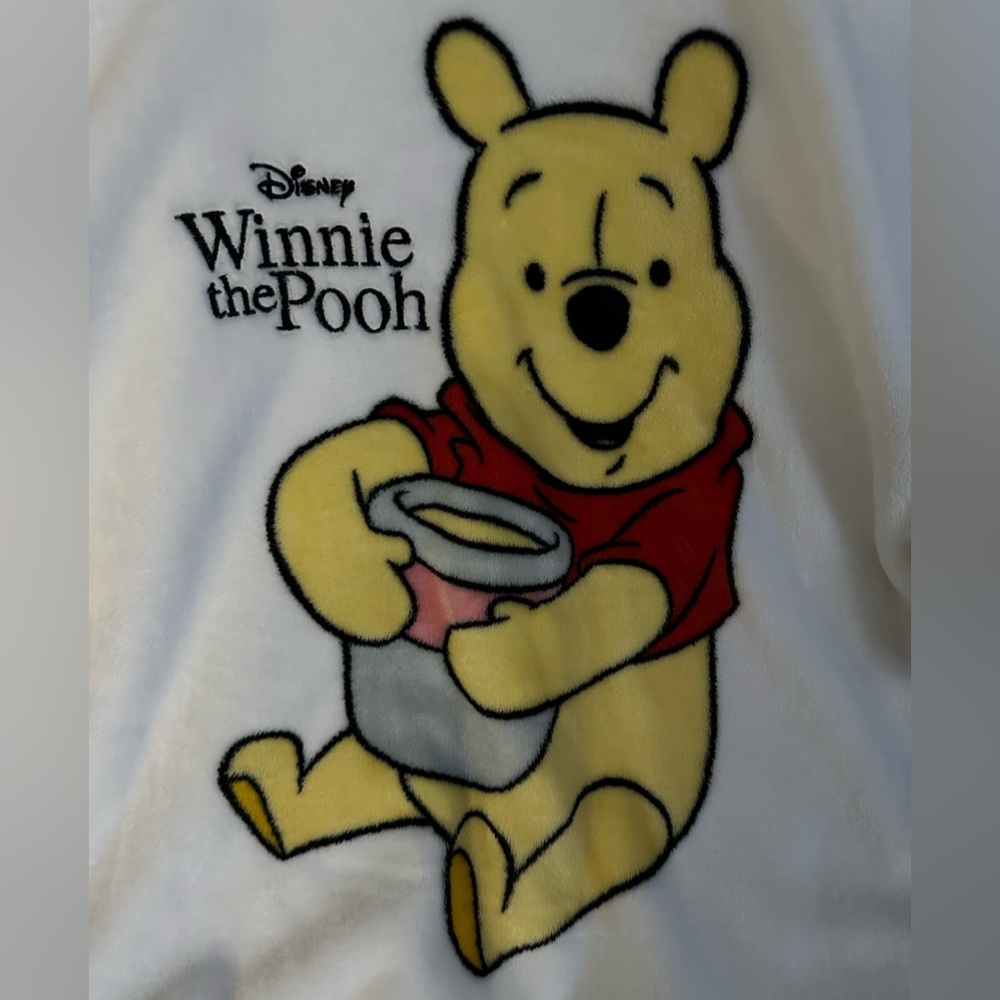 Disney Winnie the Pooh white hoodie - Picture 2 of 12